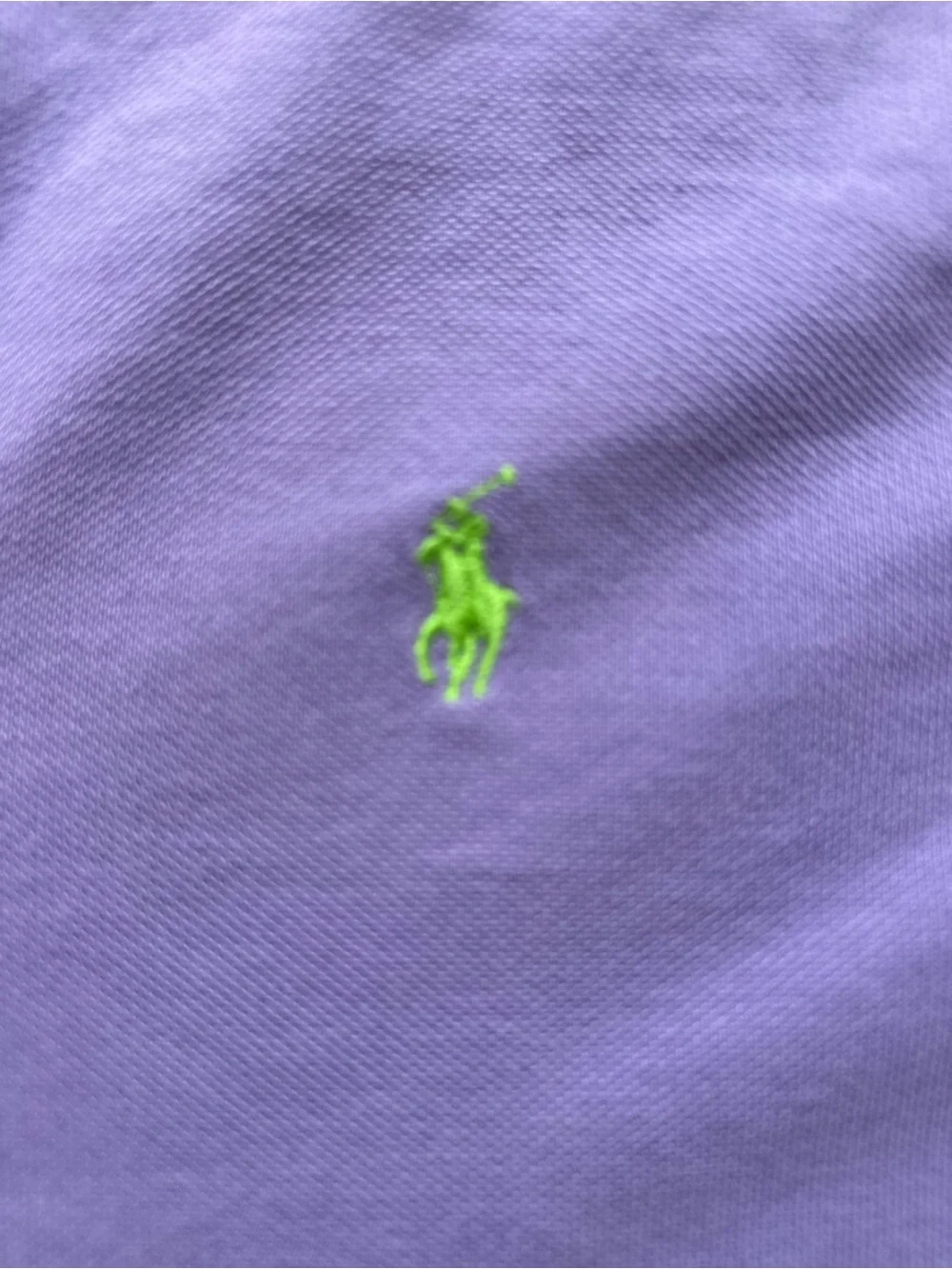Vintage Polo by Ralph Lauren Purple Polo Shirt with Green Pony